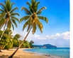 Goa