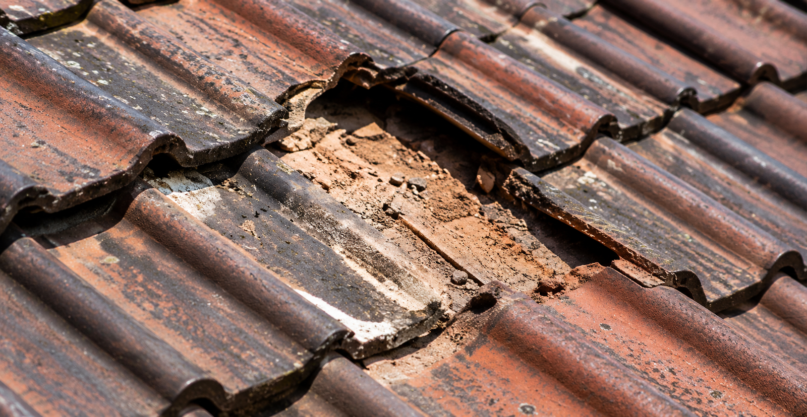 Terracotta Roof Tile Repairs Melbourne